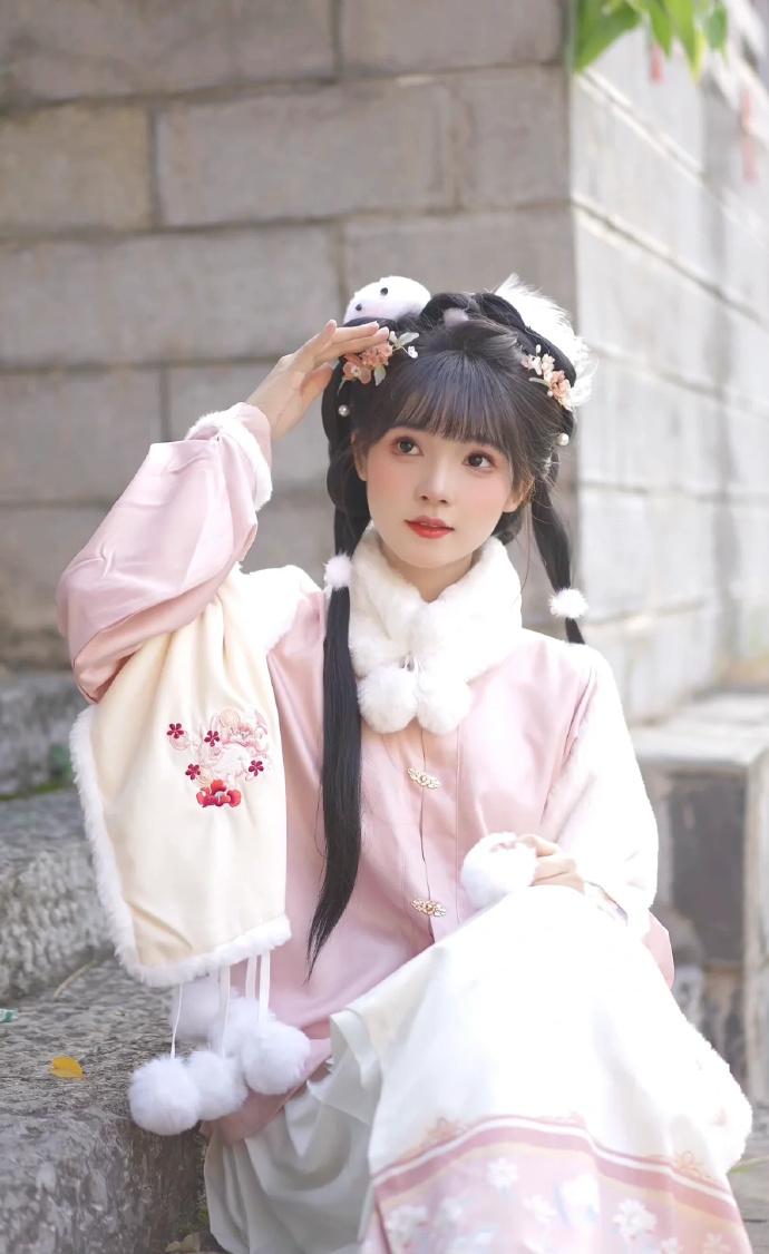 甄嬛传 封面